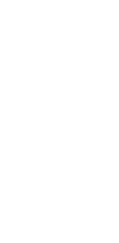 STC Performance logo